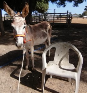 WhatsApp Image 2019-08-09 at 16.07.26