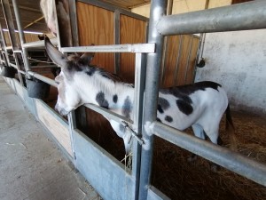 WhatsApp Image 2019-08-09 at 16.07.26(2)