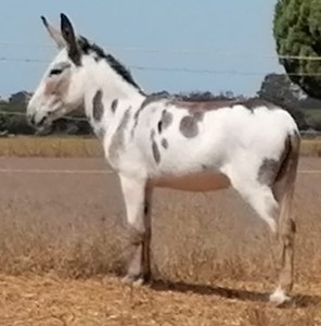 WhatsApp Image 2019-08-12 at 23.22.13