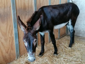 WhatsApp Image 2019-08-13 at 20.31.00