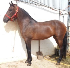 WhatsApp Image 2019-08-14 at 16.58.54