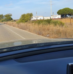 Carmens Blog Transportinfo