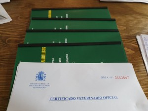 Transport 18.12.19 2