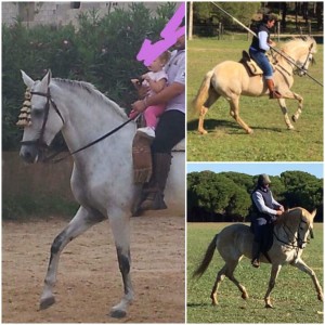 Buleria 1