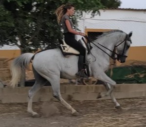 Diego 1