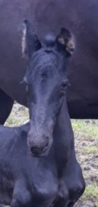 Quataramo mit 2 Tagen